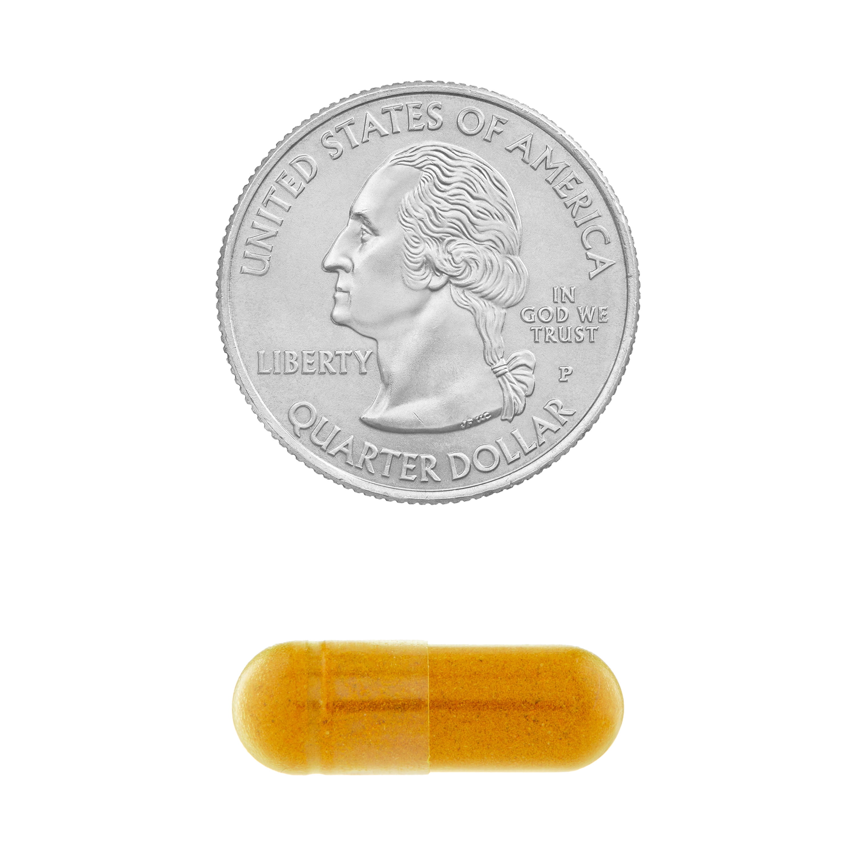 SV Turmeric Curcumin 500mg 45ct