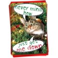 thumbnail image 1 of CAB1960 Never mind how, just get Christmas Humor Card (12 Pack), 1 of 7