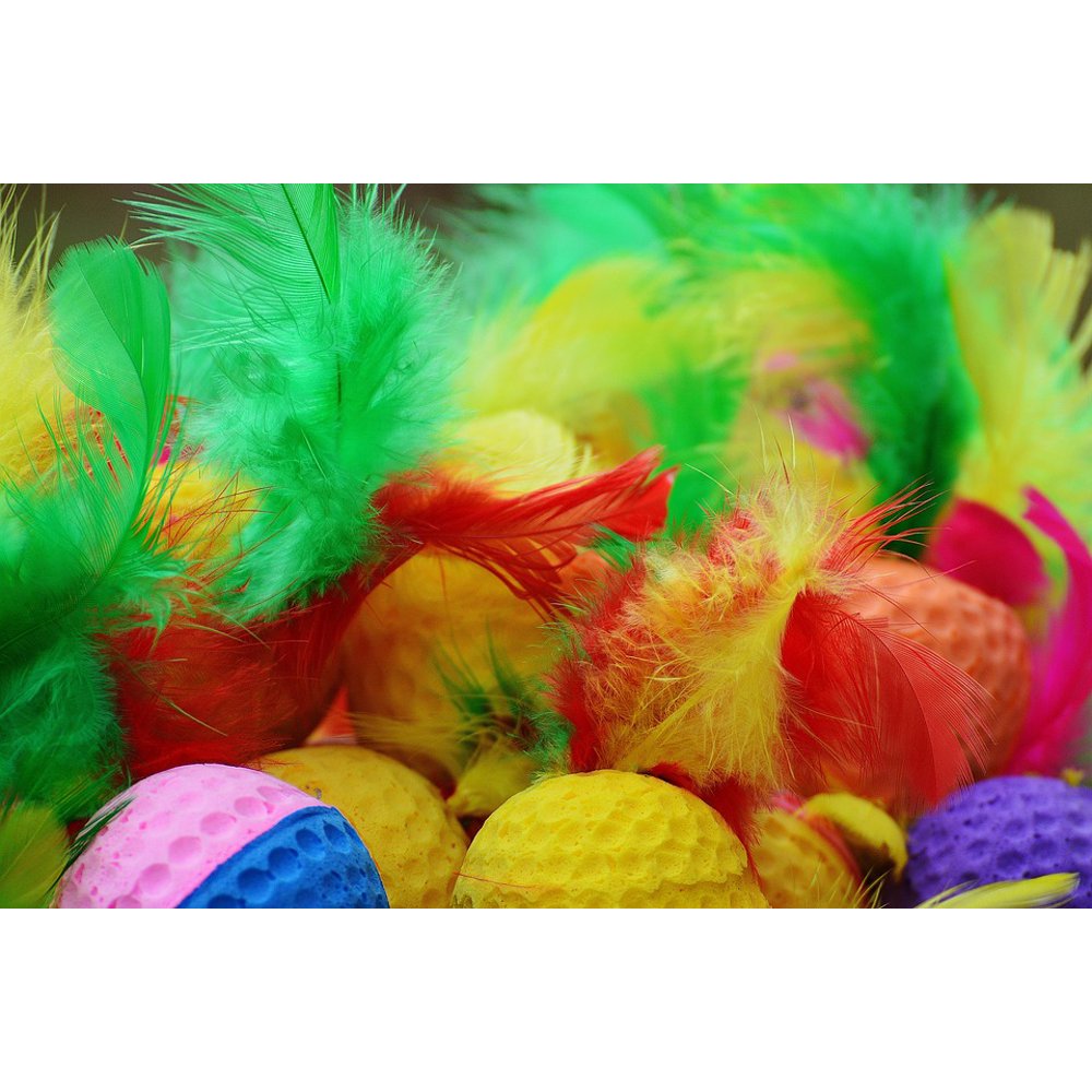 Foam Balls Cat Toys Play Balls Feather Colorful20 Inch By 30 Inch Laminated Poster With Bright