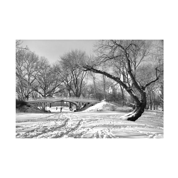 Canvas Wall Art - Mariuca Brancoveanu 'Symbiosis' Wall Art for Living Room, Bedroom, or Office D?cor by Trademark Fine Art - 19 x 12 Inches