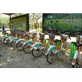 thumbnail image 1 of 24"x36" Gallery Poster, Rental bicycles in Haikou, Hainan Province, China, 1 of 1