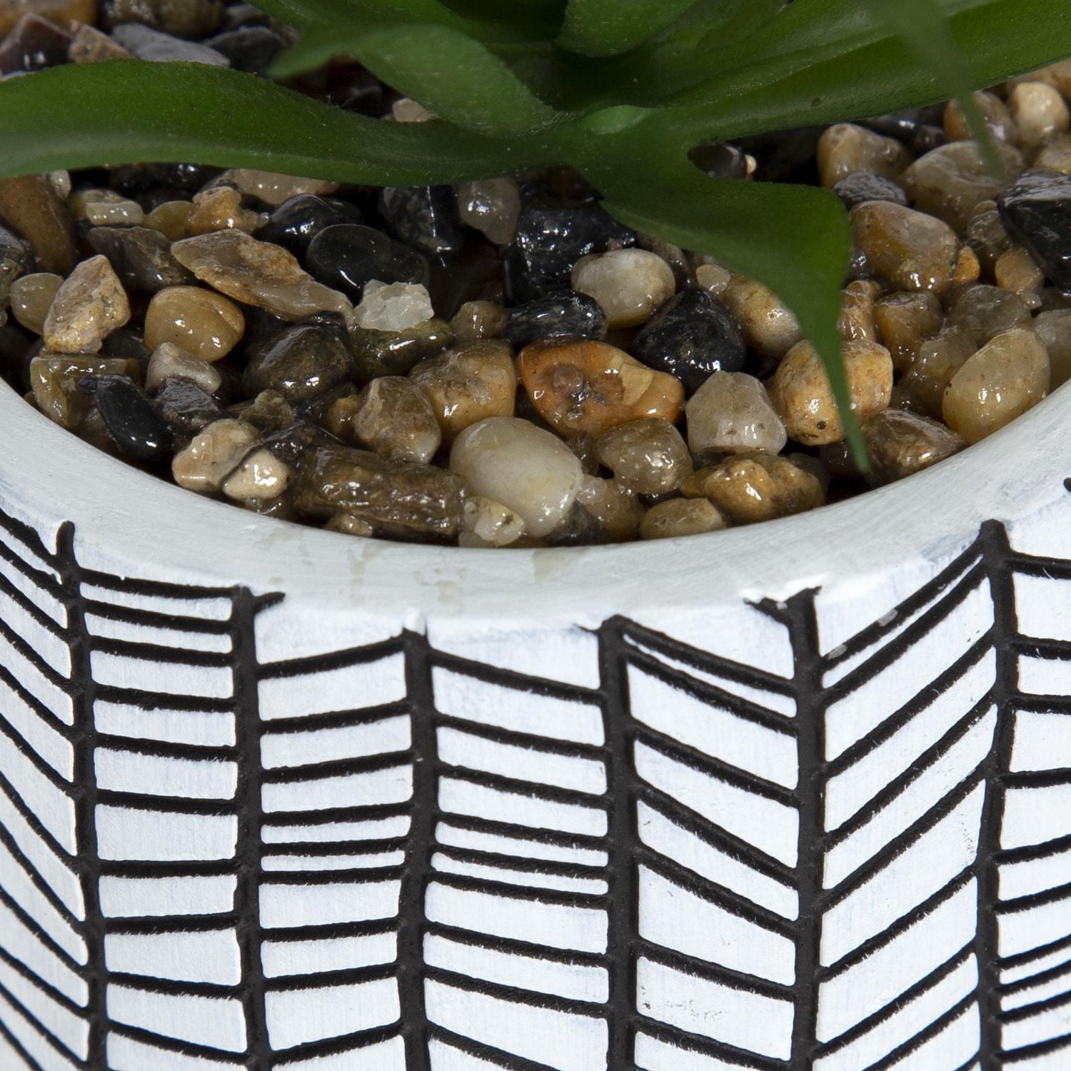 Plante grasse artificielle Gwinnett dans un pot avec chevrons de hometrends