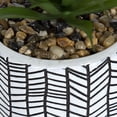 thumbnail image 3 of hometrends Gwinnett Faux Succulent in Chevron Pot, 3 of 6