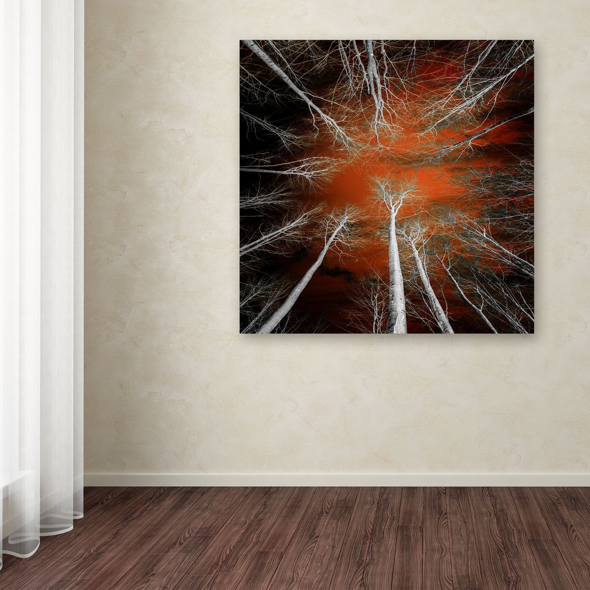 Trademark Fine Art "Something Growing In Me" Canvas Art by Philippe Sainte-Laudy