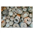 thumbnail image 3 of 24" x 16" Woodpile by Brooke T. Ryan - Wall Art Print on Canvas Fabric Gray, 3 of 3