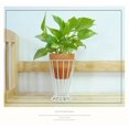 thumbnail image 2 of Plant Pot Holder, Plant Stand Iron Fashionable  For Home, 2 of 5