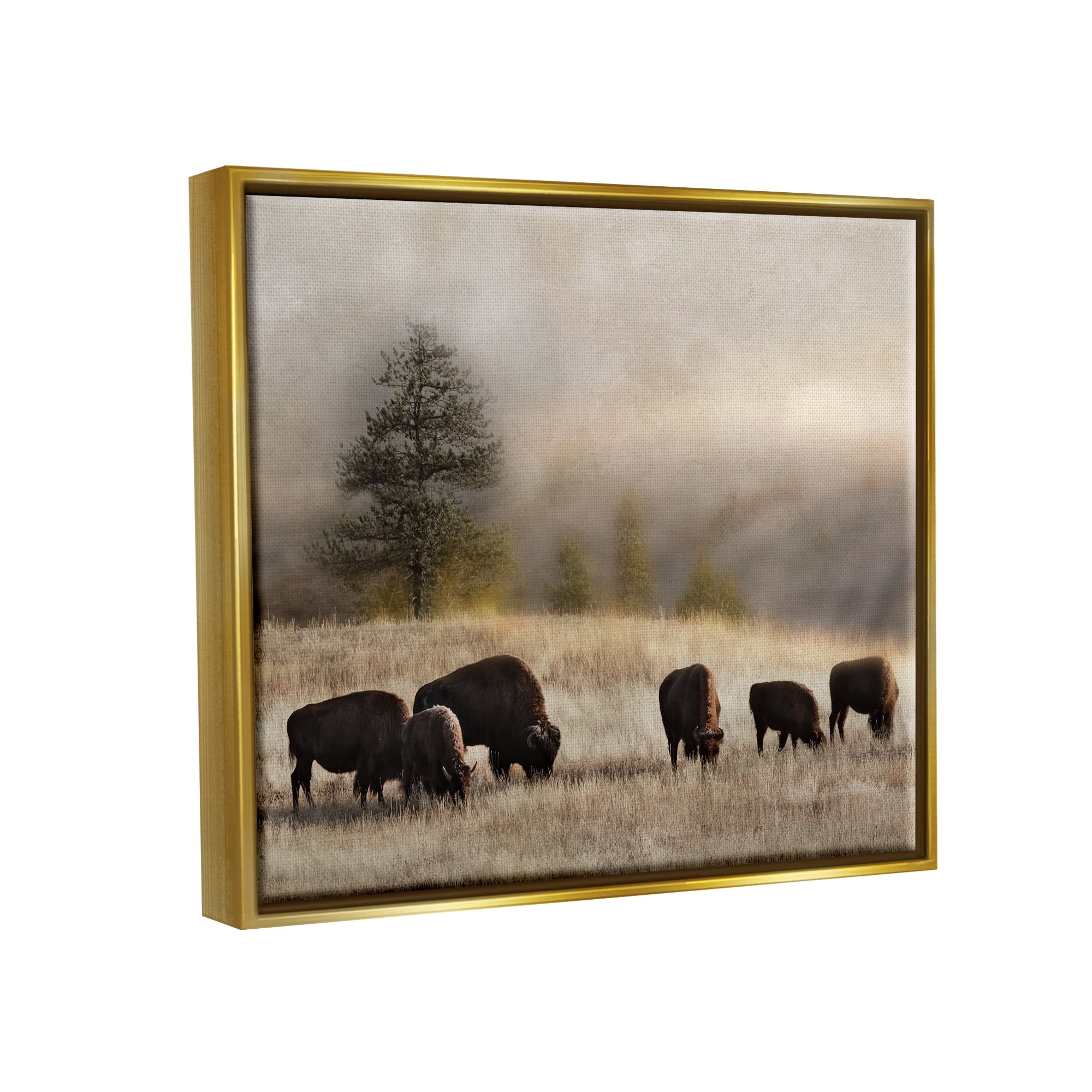 Stupell Industries Grazing Bison Rural Grassland Meadow Panoramic Scene Photograph Metallic Gold Floating Framed Canvas Print Wall Art, Design by Danita Delimont