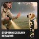 thumbnail image 3 of Ultrasonic Dog Bark Deterrent Device,Dog Bark Deterrent Devices with LED Flashlight, Anti Barking Device for Dogs Training to Improve Bad Behavior, 3 of 5