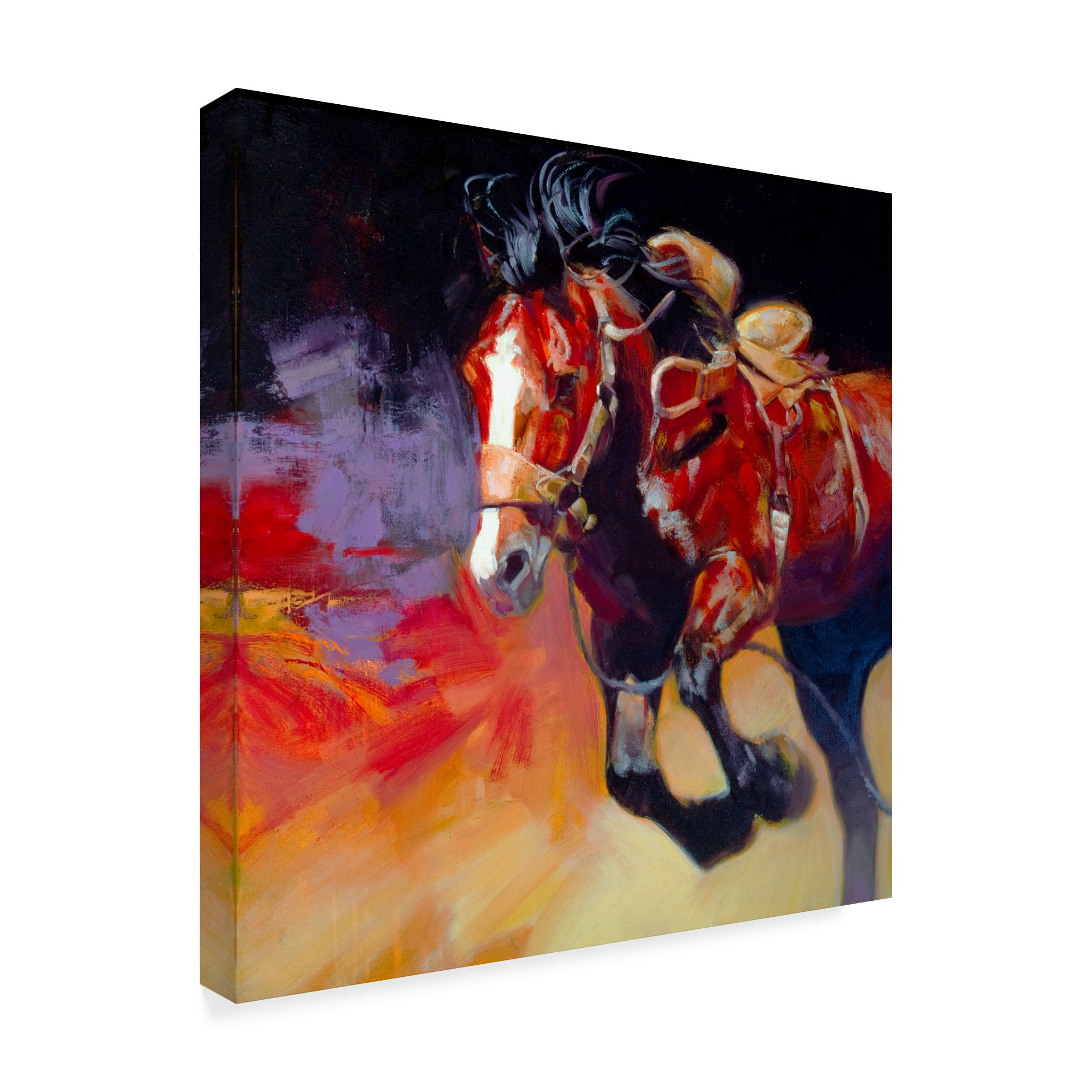 Trademark Fine Art 'Freedom Horse' Canvas Art by Julie T. Chapman