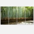 thumbnail image 2 of Belle Vue de la Forêt de Bambou - Impression sur Toile de Forêt, 2 of 3