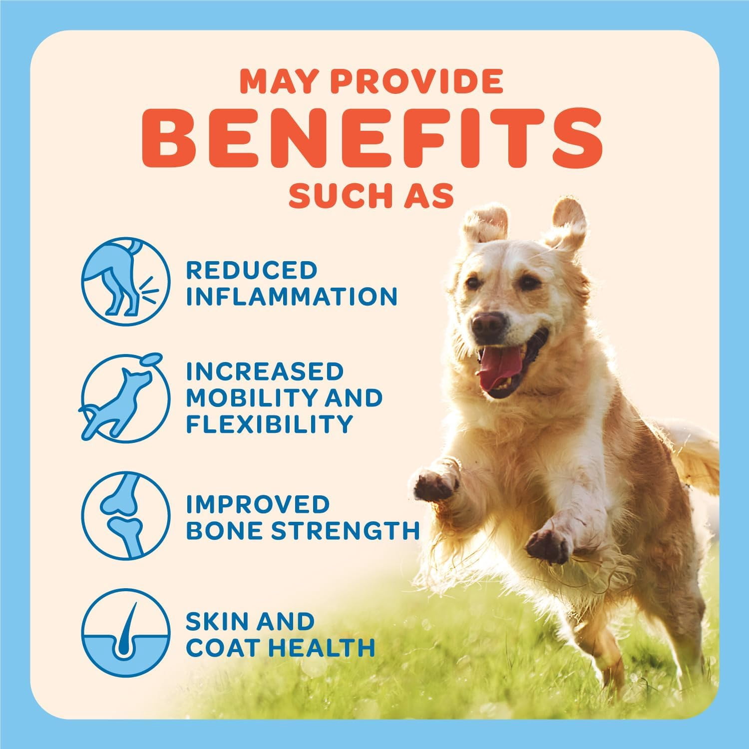 Trusty Paws Beef Collagen Sticks for Dogs, Rawhide-Free Dog Chew Treats, 10 oz, 15-Pack