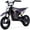 Purple, variant on MotoTec 36v 300w (HP122E) Electric Dirt Bike Green