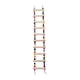 thumbnail image 3 of Escalera de Madera para Pájaros Yinane Escalera para Pájaros, 3 of 8