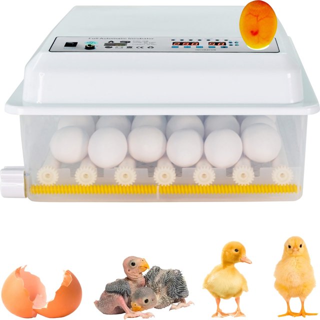 Incubadora Automatica 36 Huevos Aves Gutstark Home Pollos + Ovoscopio