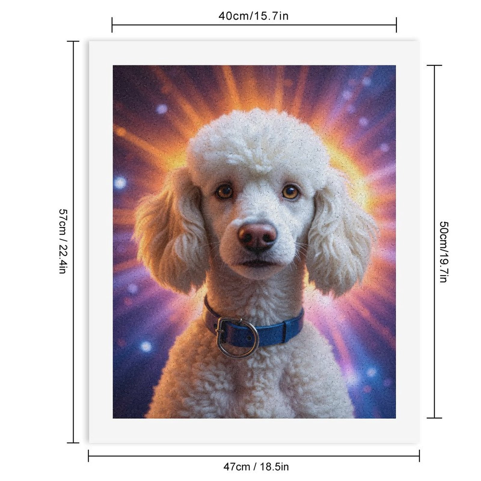 Paint by Numbers Kit for Adults, Radiant Poodle Portrait With Blue Collar Paint by Numbers, Easy Paint by Numbers Kit for Adults Beginner, DIY Adult Paint by Number Kits on Canvas, 12x16in Home Decor