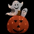 thumbnail image 3 of Northlight LED Lighted Jack-O-Lantern and Ghosts Halloween Decoration - 27.5" - Clear Lights, 3 of 6