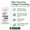 thumbnail image 5 of Liverite Liver Aid -Advanced Liver Support for Healthy Liver Function & Metabolism, 90 Tablets, 5 of 13
