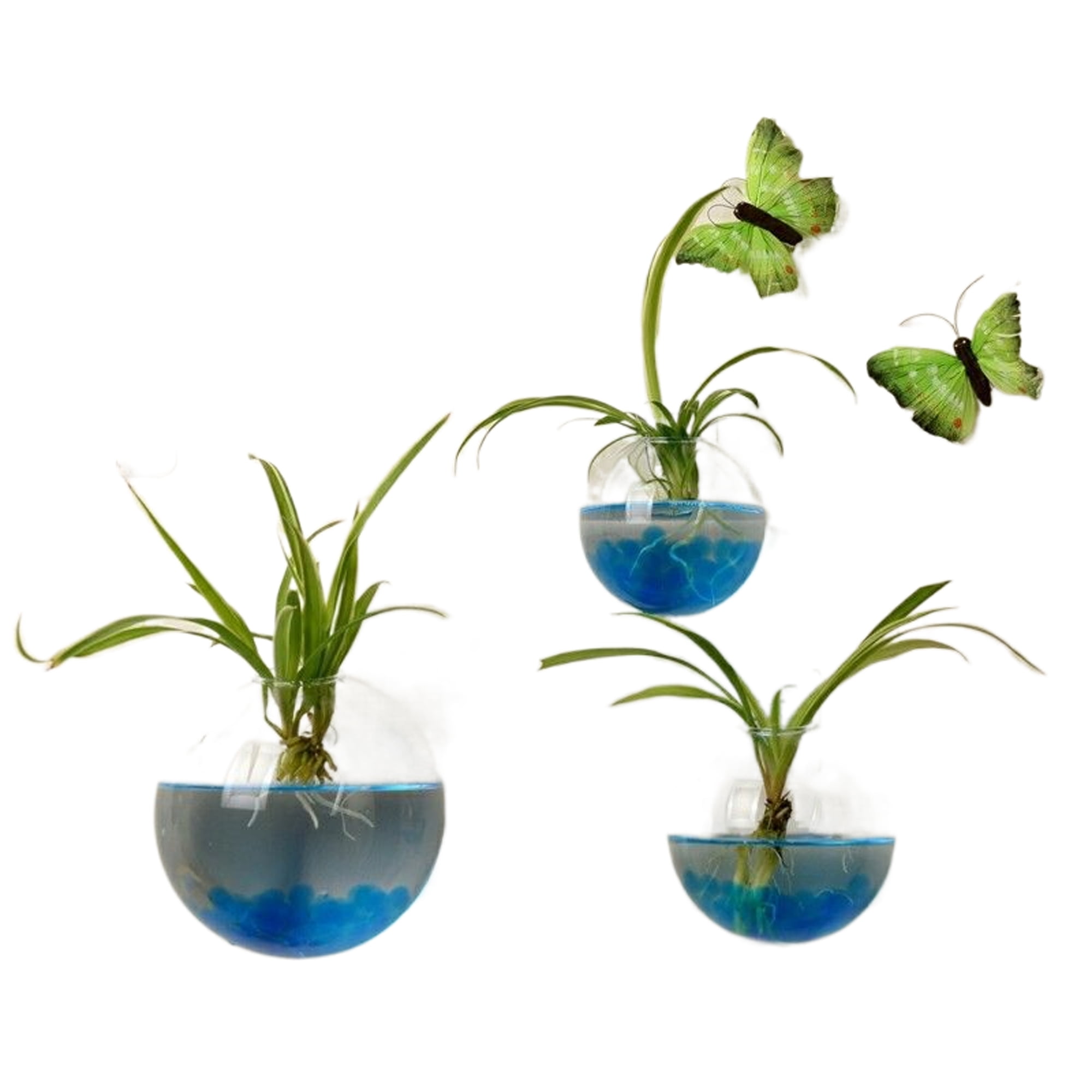 1pc Wall Hanging Planters Flower Pots Glass Air Plant Containers 4'' Diameter 