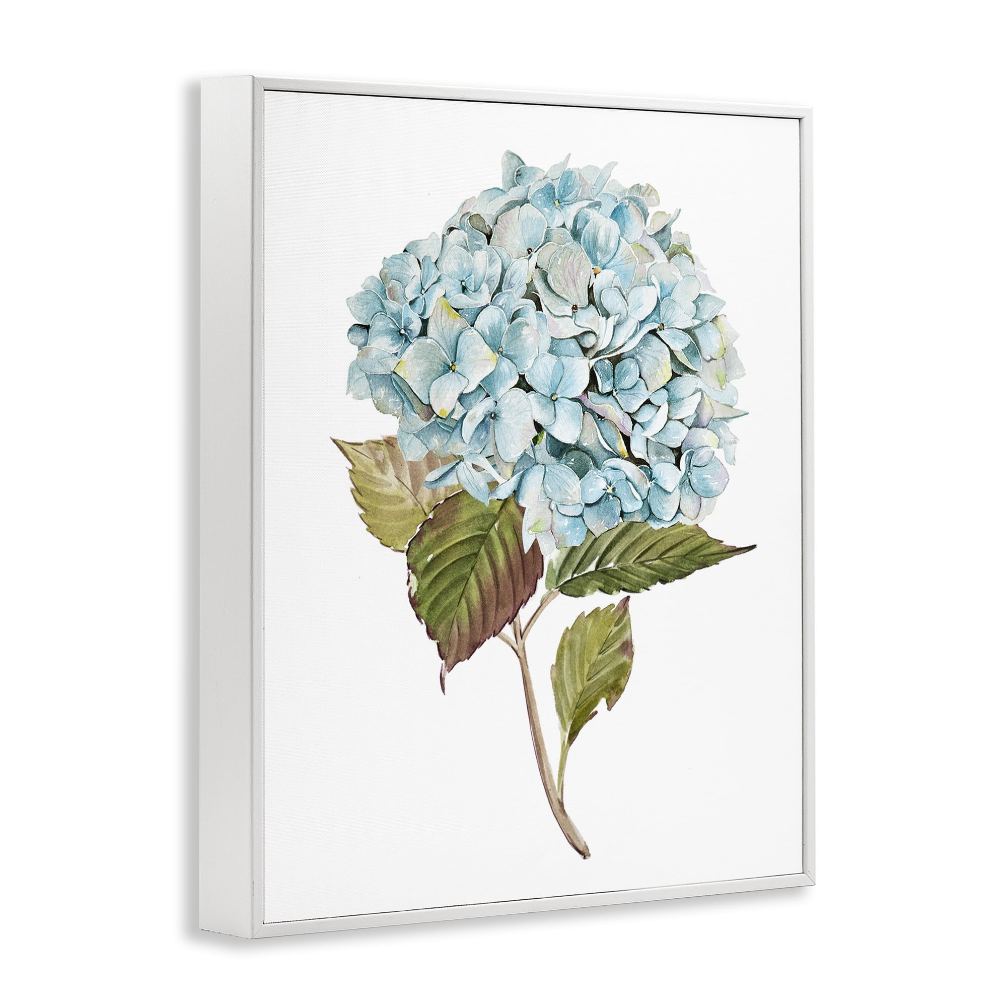 Stupell Industries Simple Hydrangea Bud Botanical & Floral Painting White Framed Art Print Wall Art, 24 x 30