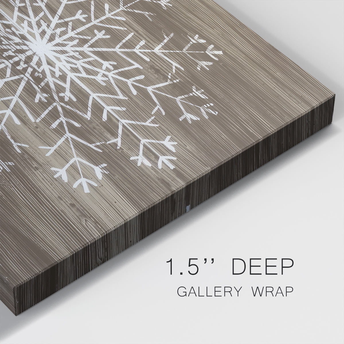 Barnwood Wonderland III- Gallery Wrapped Canvas