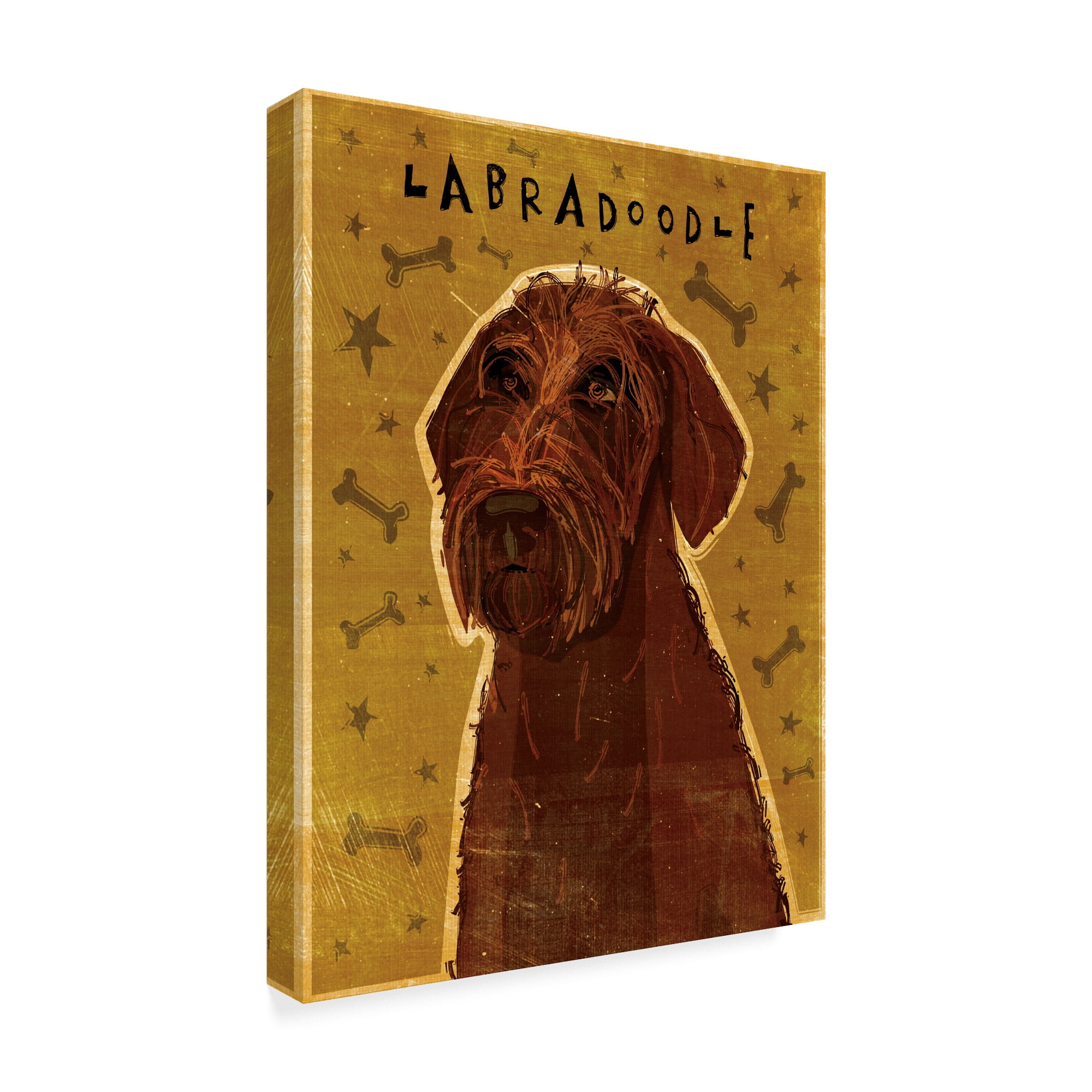 Trademark Fine Art 'Chocolate Labradoodle' Canvas Art by John W. Golden
