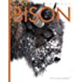 thumbnail image 1 of Bison (Amazing Animals), 1 of 1