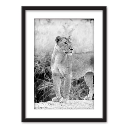 wall26 - Framed Wall Art - Female Lion in Black White - Black Picture Frames White Matting - 23x31 inches