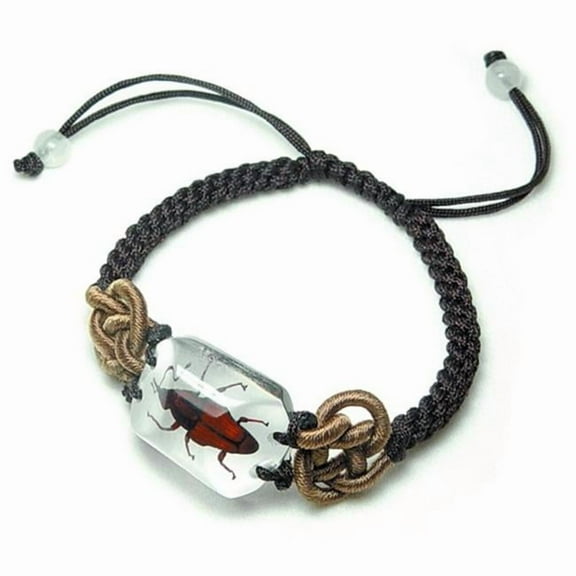Ed Speldy East SL03 Real Bug Bracelet-Bamboo Weevil