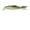 G, variant on Lifelike Mino Fish Soft Bait with Scissors Tail, Segmented Design for Realistic Swimming Action, Eco-Friendly Plastic Material for Fishing, Size 8cm