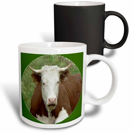 

3dRose Cow on the Farm Magic Transforming Mug 11oz