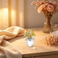 thumbnail image 4 of Kaireo K9 Crystal Glass Rose Statue, Handcrafted Orchid Flower Figurine for Home Desk Shelf Decor, Birthday Gift for Women - Shop Now, 4 of 4