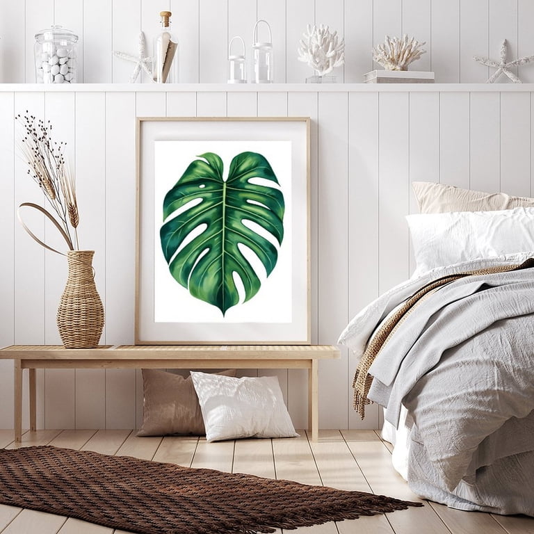 monstera moon Monstera Variegated Halfmoon