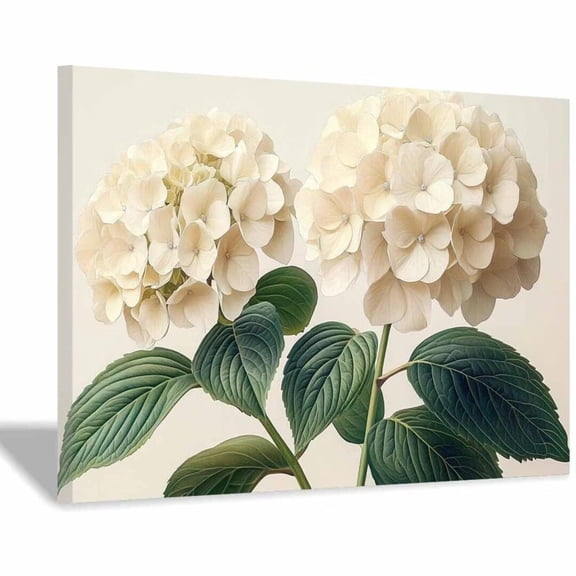Mudket Cream White Hydrangea Botanical Illustration Canvas Wall Art, Floral Wall Decor, Framed Ready to Hang Artwork for Living Room Bedroom Bathroom - 12"L x 8"W