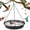 grey, variant on GMZW Hanging Bird Bath,Hanging Bird-Feeder -GMZW BirdBath Tray, Wildlife Feeder Plate Water Bowl or Water Bowl for Outdoors, Garden Patio Decoration