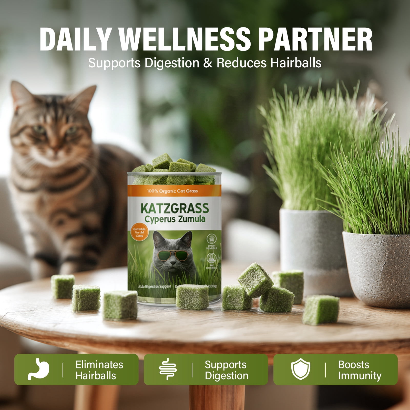 Cat Grass Treats, Cat Grass for Indoor Cats, 100% Organic Hairball Relief & Digestive Support, 120g