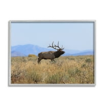 Stupell Industries Elk Grazing Pasture Grassland Blue Distant Mountains Framed Wall Art, 30 x 24, Design by Daniel Sproul