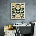 thumbnail image 4 of Epic Graffiti'Papillons 2' by Susan Ball, Giclee Canvas Wall Art, 20"x24", 4 of 8