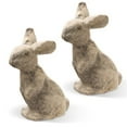 thumbnail image 1 of National Tree RAE-M209591A 11 in. Glittery Brown Rabbit - Set of 2, 1 of 1