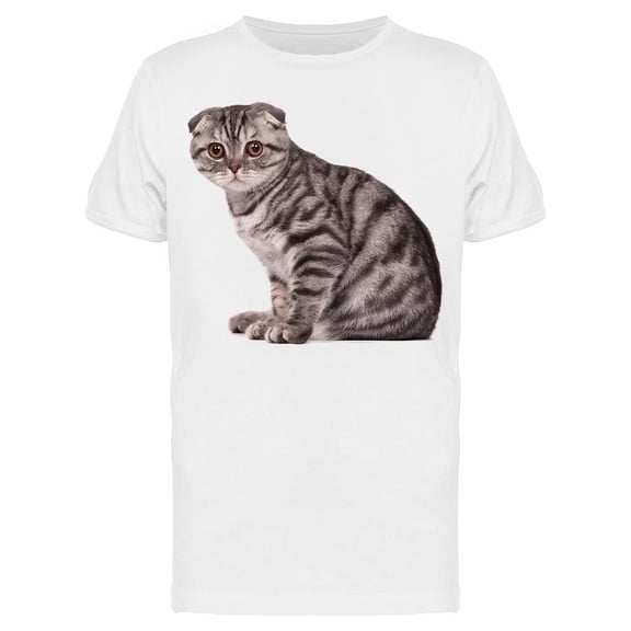 Cute Scottish Fold Cat Tee Men's -Image by Shutterstock Men's T-shirt