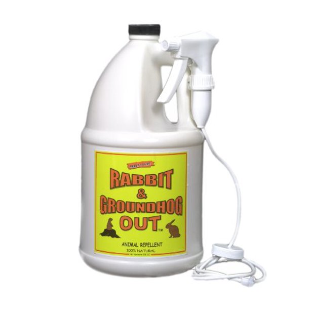 Rabbit & Groundhog Repellent Rabbit Out 1 Gallon ReadyToUse