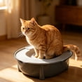 thumbnail image 1 of EGNMCR Kitty Toilet Training Device Washdown Litter Box Odor Control Spray Proof Litter Box Extra Large Plasti c Cat Litter B ox, 1 of 6