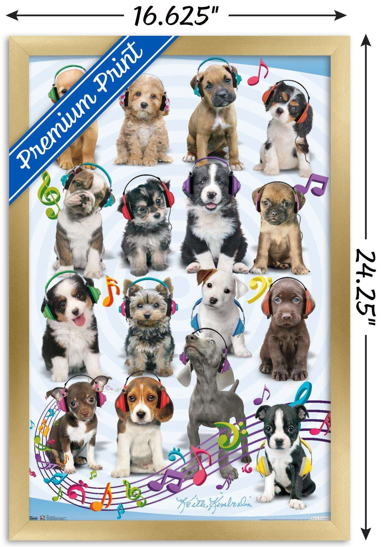 Keith Kimberlin - Puppies - Headphones Wall Poster, 14.725" x 22.375", Framed