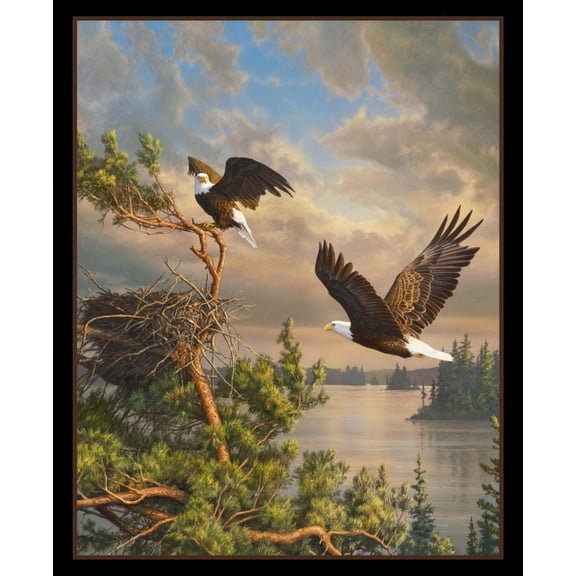 36" X 44" Panel Coming Home Bald Eagles Birds Black Cotton Fabric D485.61