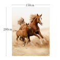 thumbnail image 2 of Manta QH con diseño de dos hermosos caballos, 150 x 200 cm, 2 of 5