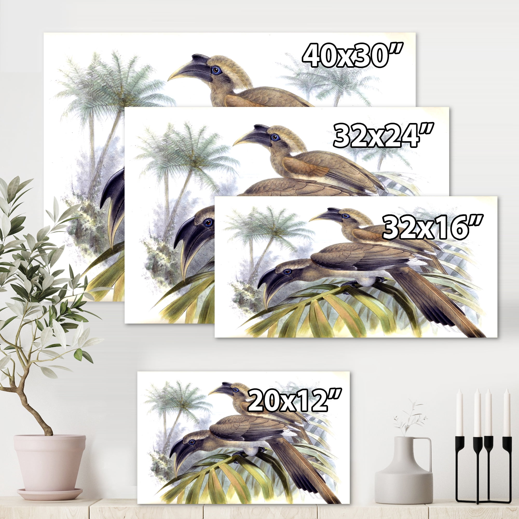 Designart ' Ancient Australian Birds XIV ' Traditional Canvas Wall Art Print