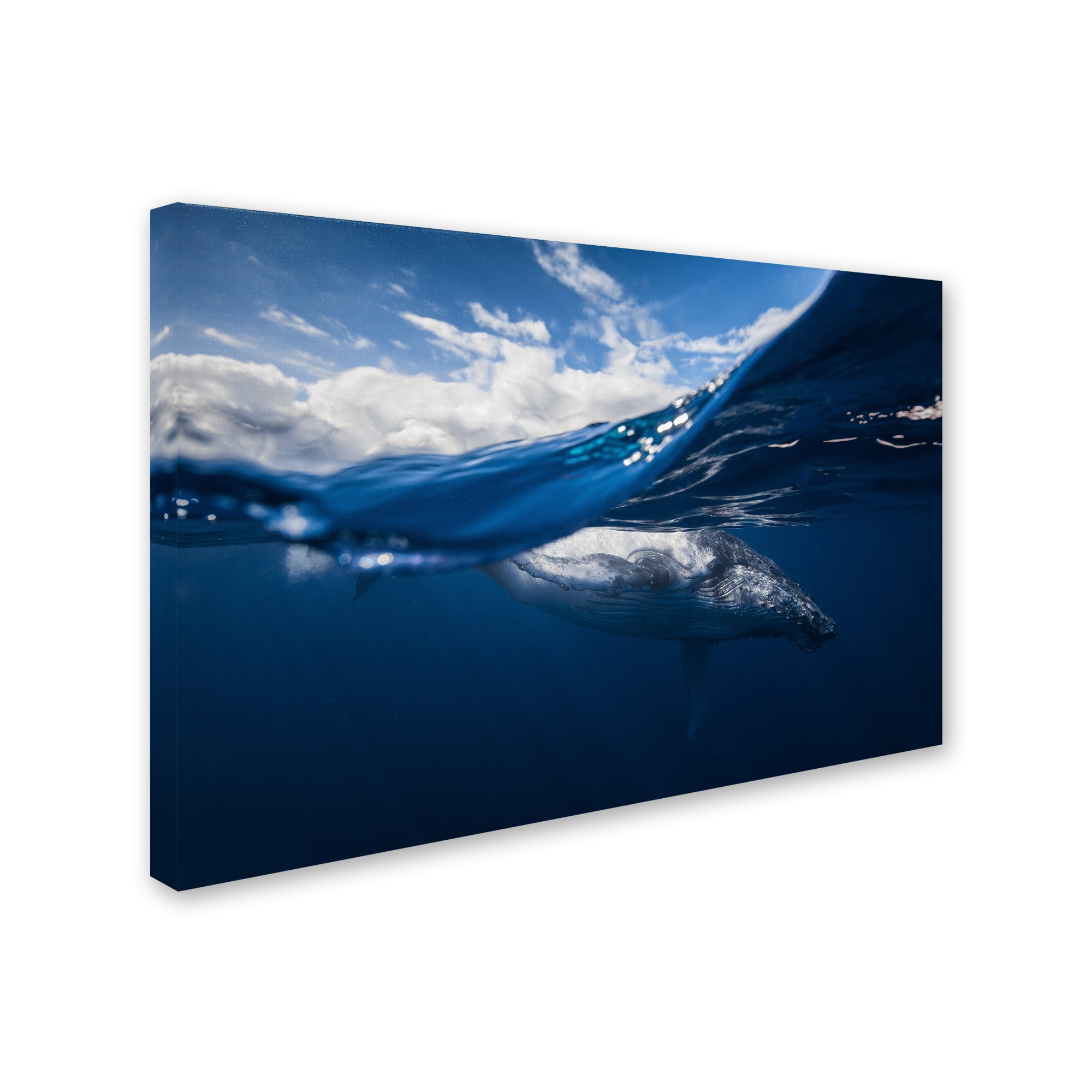 Trademark Fine Art 'Humpback Whale And The Sky' Canvas Art by Barathieu Gabriel