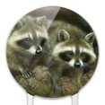 Acrylic Cute Raccoons Curiosity Cake Topper Party Decoration for ...