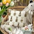 thumbnail image 2 of Easter Pillow Covers 20x20 Incj,Holiday Bunny Rabbits Decor Throw Pillow Covers,Brown Spring Farmhouse pillowcase for Home Sofa Couch(08-020), 2 of 6