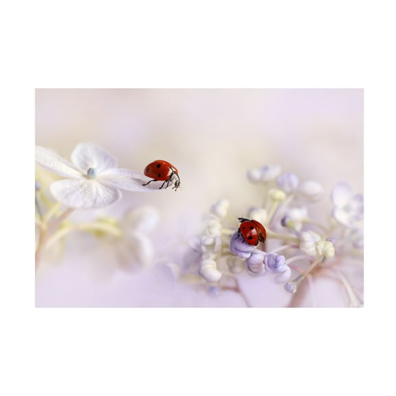 Canvas Wall Art - Ellen Van Deelen 'Small Friends' Wall Art for Living Room, Bedroom, or Office Décor by Trademark Fine Art - 19 x 12 Inches