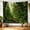 D, variant on HUANGLE Tapestry For Bedroom, Morning Walk Scenic Forest Artwork Large Wall Tapestry, High-Quality Polyester Room Tapestry For Hallway, 60x40Inch